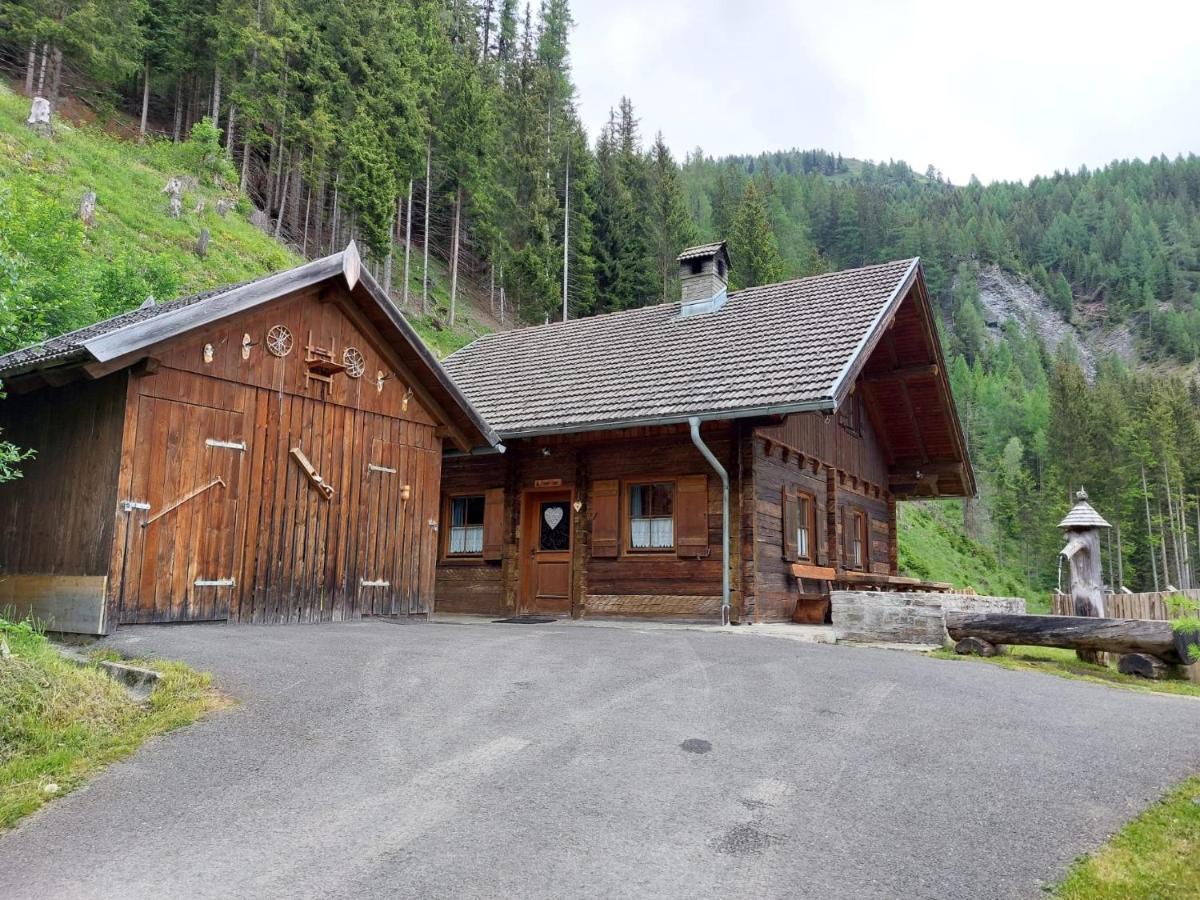 Siegel Almhuette Villa Zederhaus Exterior photo